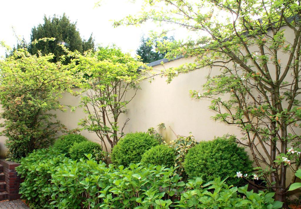 Venusberghotel ボン エクステリア 写真